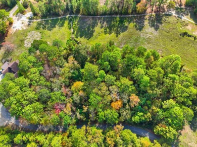 OWNER FINANCING AVAILABLE.Rayburn Country golf course frontage! on Rayburn Country Club in Texas - for sale on GolfHomes.com, golf home, golf lot