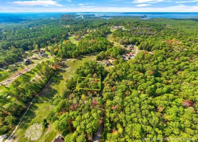 OWNER FINANCING AVAILABLE.Rayburn Country golf course frontage! on Rayburn Country Club in Texas - for sale on GolfHomes.com, golf home, golf lot
