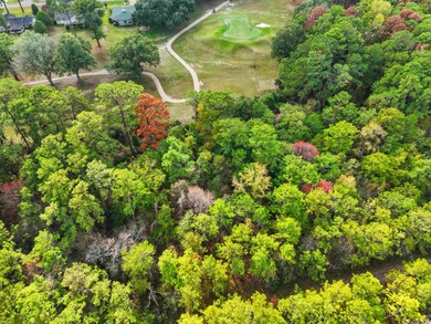 OWNER FINANCING AVAILABLE option on Rayburn Country golf course on Rayburn Country Club in Texas - for sale on GolfHomes.com, golf home, golf lot