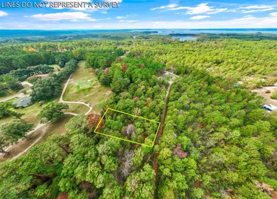 OWNER FINANCING AVAILABLE option on Rayburn Country golf course on Rayburn Country Club in Texas - for sale on GolfHomes.com, golf home, golf lot