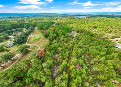 OWNER FINANCING AVAILABLE option on Rayburn Country golf course on Rayburn Country Club in Texas - for sale on GolfHomes.com, golf home, golf lot