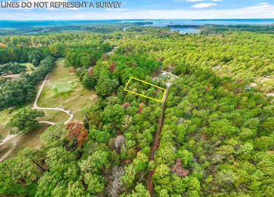 OWNER FINANCE OPTION on Rayburn Country golf course area! on Rayburn Country Club in Texas - for sale on GolfHomes.com, golf home, golf lot