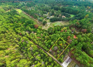 OWNER FINANCE OPTION on Rayburn Country golf course area! on Rayburn Country Club in Texas - for sale on GolfHomes.com, golf home, golf lot