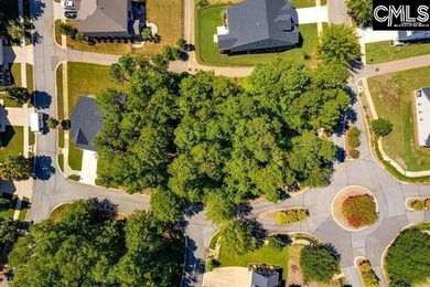 Outstanding location for your new home in the Resort style on Cobblestone Park Golf Club in South Carolina - for sale on GolfHomes.com, golf home, golf lot