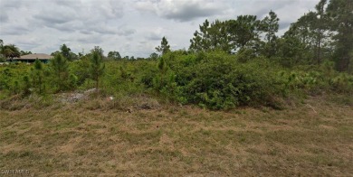 This beautiful residential lot is located in nice and quiet part on Mirror Lakes Golf Club in Florida - for sale on GolfHomes.com, golf home, golf lot