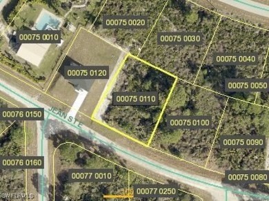 This beautiful residential lot is located in nice and quiet part on Mirror Lakes Golf Club in Florida - for sale on GolfHomes.com, golf home, golf lot