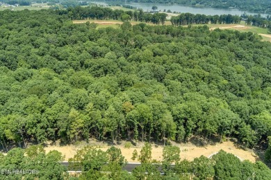 This spectacular 0.62-acre lot, ideal for a walk-out basement on Tennessee National Golf Club in Tennessee - for sale on GolfHomes.com, golf home, golf lot