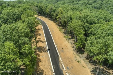 This spectacular 0.62-acre lot, ideal for a walk-out basement on Tennessee National Golf Club in Tennessee - for sale on GolfHomes.com, golf home, golf lot