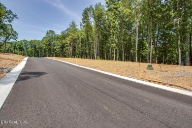 This spectacular 0.62-acre lot, ideal for a walk-out basement on Tennessee National Golf Club in Tennessee - for sale on GolfHomes.com, golf home, golf lot
