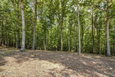 This spectacular 0.62-acre lot, ideal for a walk-out basement on Tennessee National Golf Club in Tennessee - for sale on GolfHomes.com, golf home, golf lot