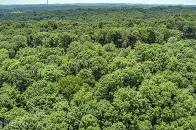 This spectacular 0.62-acre lot, ideal for a walk-out basement on Tennessee National Golf Club in Tennessee - for sale on GolfHomes.com, golf home, golf lot