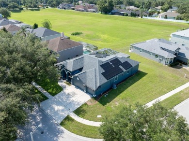 Located in the highly desirable Buckhorn Preserve neighborhood on Buckhorn Springs Golf and Country Club in Florida - for sale on GolfHomes.com, golf home, golf lot