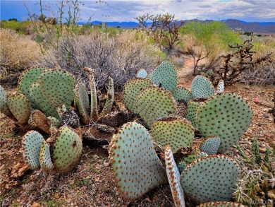 Take a look at this buildable lot in the Valle Vista Golf Course on Valle Vista Golf Course in Arizona - for sale on GolfHomes.com, golf home, golf lot