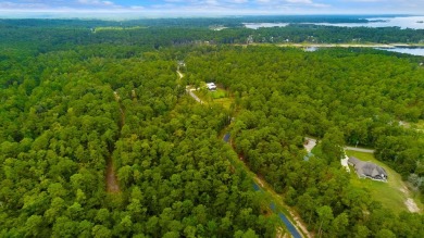 Indulge in the tranquility of lakeside living at Lake Sam on Rayburn Country Club in Texas - for sale on GolfHomes.com, golf home, golf lot