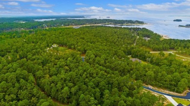 Indulge in the tranquility of lakeside living at Lake Sam on Rayburn Country Club in Texas - for sale on GolfHomes.com, golf home, golf lot