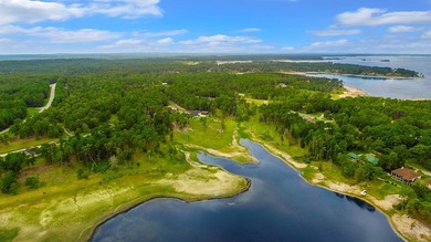 Indulge in the tranquility of lakeside living at Lake Sam on Rayburn Country Club in Texas - for sale on GolfHomes.com, golf home, golf lot