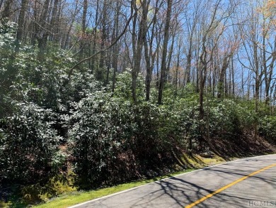 Discover the perfect canvas to create a dream home within the on Cullasaja Club in North Carolina - for sale on GolfHomes.com, golf home, golf lot