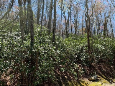 Discover the perfect canvas to create a dream home within the on Cullasaja Club in North Carolina - for sale on GolfHomes.com, golf home, golf lot
