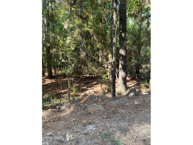 Come check out this residential lot in the Rayburn Country on Rayburn Country Club in Texas - for sale on GolfHomes.com, golf home, golf lot