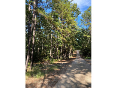 Come check out this residential lot in the Rayburn Country on Rayburn Country Club in Texas - for sale on GolfHomes.com, golf home, golf lot