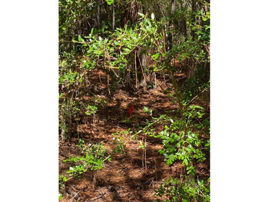 Come check out this residential lot in the Rayburn Country on Rayburn Country Club in Texas - for sale on GolfHomes.com, golf home, golf lot