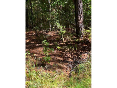 Come check out this residential lot in the Rayburn Country on Rayburn Country Club in Texas - for sale on GolfHomes.com, golf home, golf lot