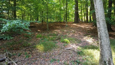 Double lot wooded property in Hocking Hills near the entrance in on Hide-A-Way Hills Golf Club in Ohio - for sale on GolfHomes.com, golf home, golf lot