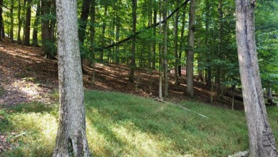 Double lot wooded property in Hocking Hills near the entrance in on Hide-A-Way Hills Golf Club in Ohio - for sale on GolfHomes.com, golf home, golf lot