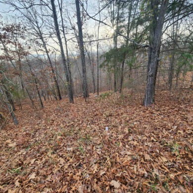 4 Wonderful, Must-see Lakefront and Lakeview lots sitting side on The Course At Turkey Mountain in Arkansas - for sale on GolfHomes.com, golf home, golf lot