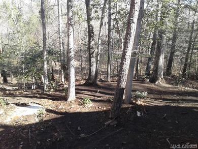 Good things do come in small packages! Take a look at this Lake on River Ridge Golf Club in Virginia - for sale on GolfHomes.com, golf home, golf lot