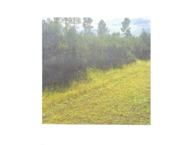Look no further, Here is your opprtunity to own your own 1/2 on Indian Lake Estates Golf and Country Club in Florida - for sale on GolfHomes.com, golf home, golf lot