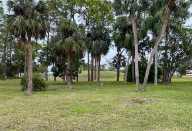 This Casa Grande model home has a view of the golf course from on Del Tura Golf and Country Club in Florida - for sale on GolfHomes.com, golf home, golf lot