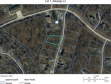 This nearly level lot is practically across the street from the on Branchwood Golf Course in Arkansas - for sale on GolfHomes.com, golf home, golf lot