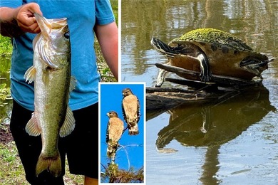 Affordable, Convenient Location and High Elevation! Located in on Eagle Ridge Golf and Tennis Club in Florida - for sale on GolfHomes.com, golf home, golf lot