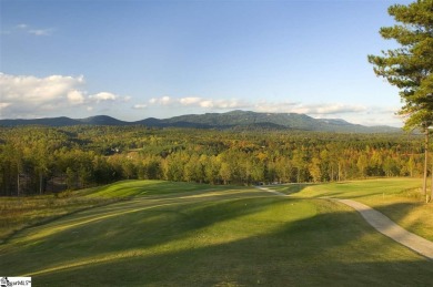 ALERT**** PATH CLEARED FROM STREET TO GOLF COURSE and marked on The Clubs at Cherokee Valley Golf Course in South Carolina - for sale on GolfHomes.com, golf home, golf lot