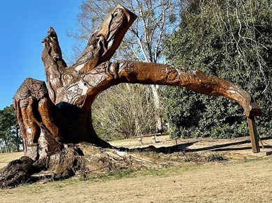 Welcome to the highly sought-after, gated Santee Cooper Resort on Santee-Cooper Country Club in South Carolina - for sale on GolfHomes.com, golf home, golf lot