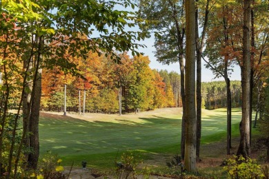 Magnificent, breathtaking, spectacular aEUR* take your pick on Cedar River Golf Course in Michigan - for sale on GolfHomes.com, golf home, golf lot