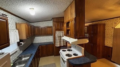 Discover affordable lake-area living in Pendleton Harbor, a on Pendleton Harbor in Texas - for sale on GolfHomes.com, golf home, golf lot