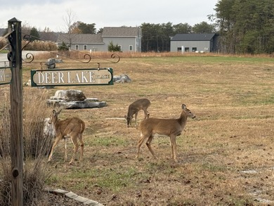 The Villas at Woodson Bend is a 160 acres gated preserve on the on Woodson Bend Resort in Kentucky - for sale on GolfHomes.com, golf home, golf lot