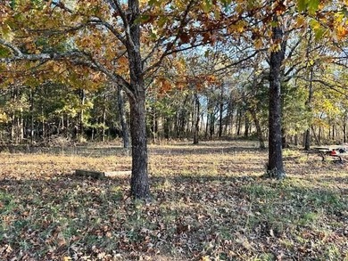 Lake Front property for sale in Arkansas. Here is your on Cedar Glade Golf Course in Arkansas - for sale on GolfHomes.com, golf home, golf lot