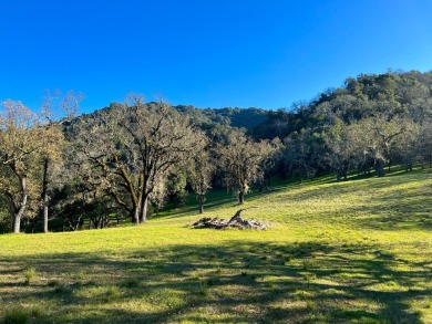 Located just beyond the 12th fairway of the Preserve Golf Club on The Preserve Golf Club in California - for sale on GolfHomes.com, golf home, golf lot