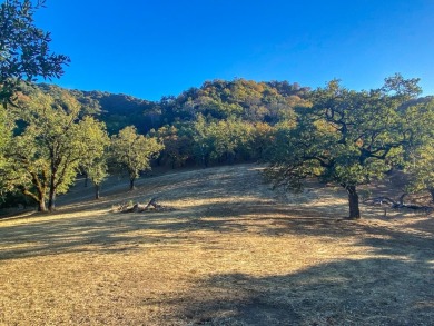 Located just beyond the 12th fairway of the Preserve Golf Club on The Preserve Golf Club in California - for sale on GolfHomes.com, golf home, golf lot