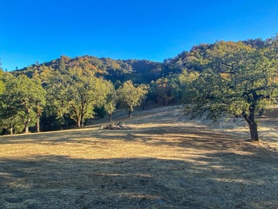 Located just beyond the 12th fairway of the Preserve Golf Club on The Preserve Golf Club in California - for sale on GolfHomes.com, golf home, golf lot