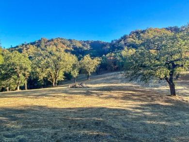 Located just beyond the 12th fairway of the Preserve Golf Club on The Preserve Golf Club in California - for sale on GolfHomes.com, golf home, golf lot