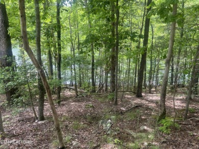 Spectaular lake views from this stunning lot on Lake Dartmoore on Heatherhurst Golf Course in Tennessee - for sale on GolfHomes.com, golf home, golf lot