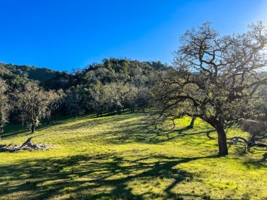 Located just beyond the 12th fairway of the Preserve Golf Club on The Preserve Golf Club in California - for sale on GolfHomes.com, golf home, golf lot