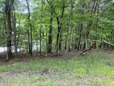 Spectaular lake views from this stunning lot on Lake Dartmoore on Heatherhurst Golf Course in Tennessee - for sale on GolfHomes.com, golf home, golf lot