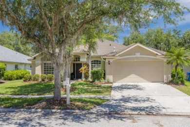 Welcome to your dream home nestled in the heart of New Tampa! As on Hunters Green Country Club in Florida - for sale on GolfHomes.com, golf home, golf lot