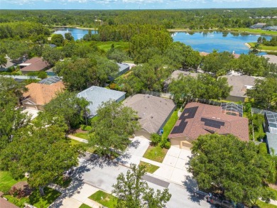 Welcome to your dream home nestled in the heart of New Tampa! As on Hunters Green Country Club in Florida - for sale on GolfHomes.com, golf home, golf lot