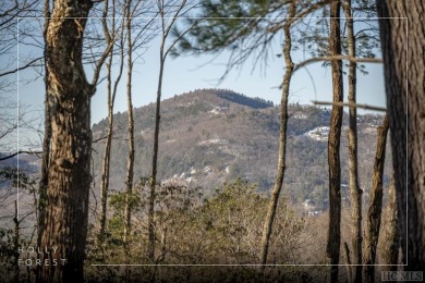 A stunning spec home by a second-generation local custom builder on Sapphire National Golf Club in North Carolina - for sale on GolfHomes.com, golf home, golf lot